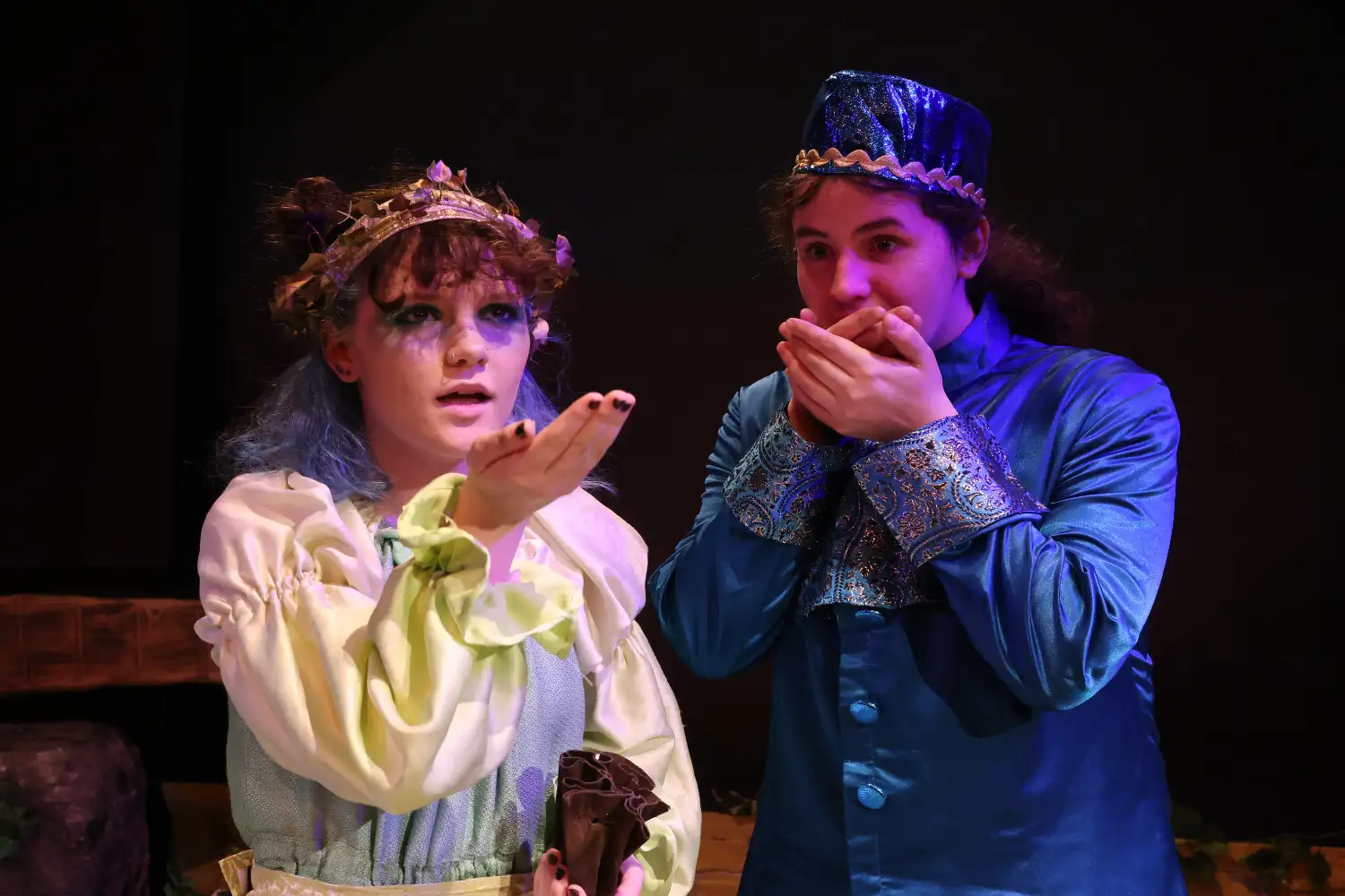 Courtyard Theatre Sleeping Beauty Jan 26