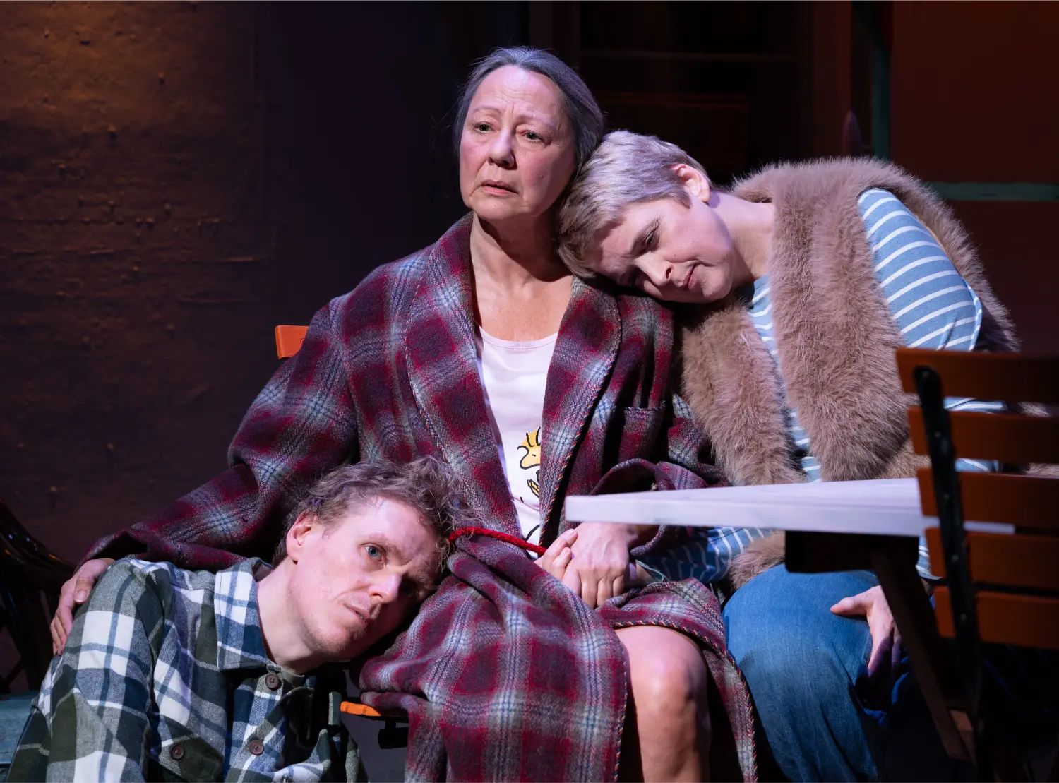 Nantwich Players The Last of the Haussmans