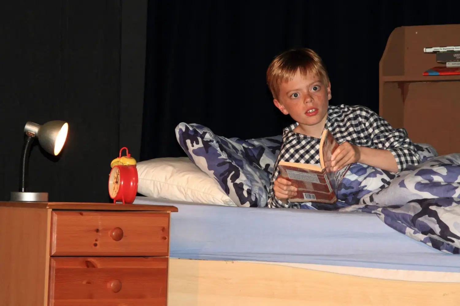 The Warehouse Theatre The Boy Who Fell into a Book May 14